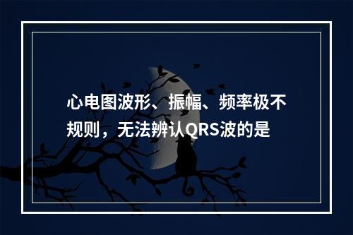 心电图波形、振幅、频率极不规则，无法辨认QRS波的是