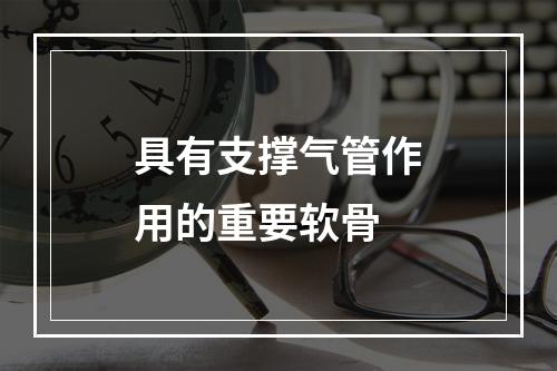 具有支撑气管作用的重要软骨