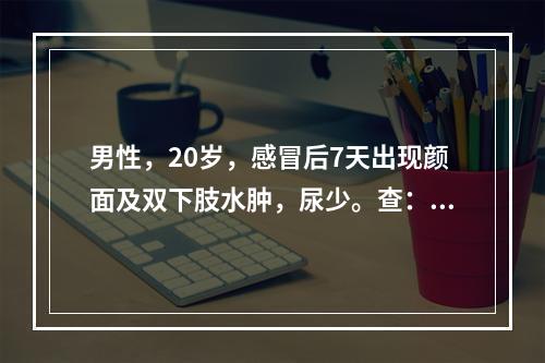 男性，20岁，感冒后7天出现颜面及双下肢水肿，尿少。查：血压