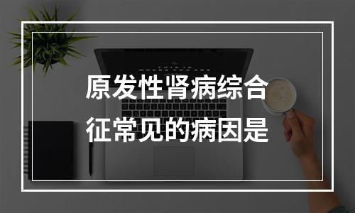 原发性肾病综合征常见的病因是