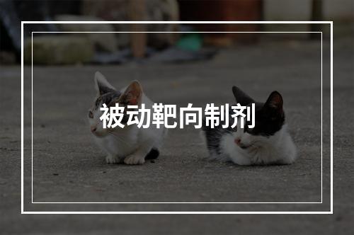 被动靶向制剂