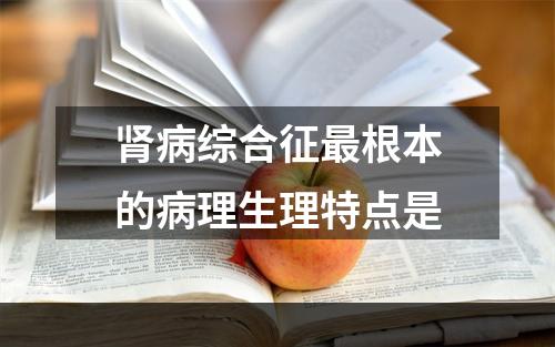 肾病综合征最根本的病理生理特点是