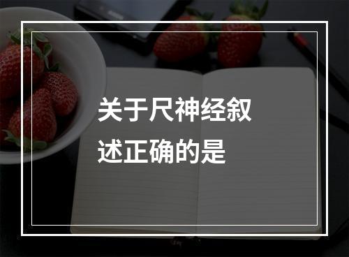 关于尺神经叙述正确的是