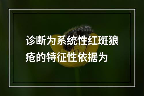 诊断为系统性红斑狼疮的特征性依据为