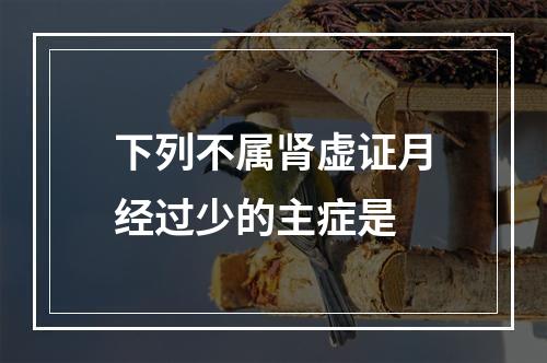 下列不属肾虚证月经过少的主症是