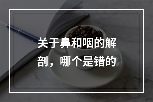 关于鼻和咽的解剖，哪个是错的