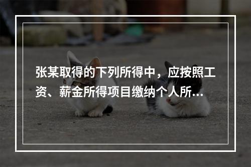 张某取得的下列所得中，应按照工资、薪金所得项目缴纳个人所得税