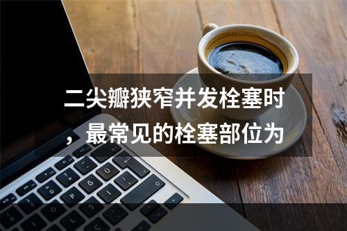 二尖瓣狭窄并发栓塞时，最常见的栓塞部位为