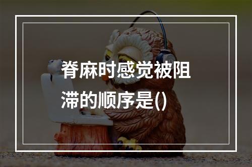 脊麻时感觉被阻滞的顺序是()