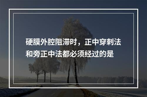 硬膜外腔阻滞时，正中穿刺法和旁正中法都必须经过的是