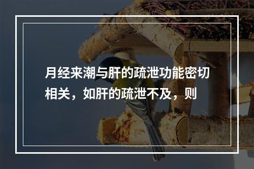 月经来潮与肝的疏泄功能密切相关，如肝的疏泄不及，则