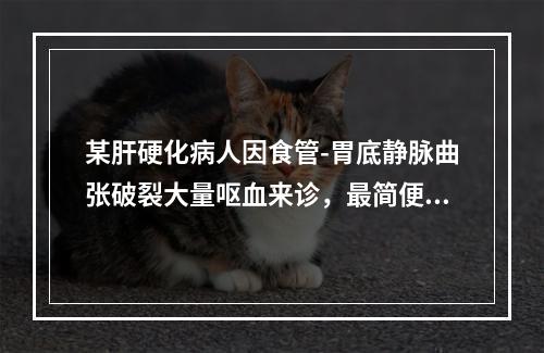 某肝硬化病人因食管-胃底静脉曲张破裂大量呕血来诊，最简便有效