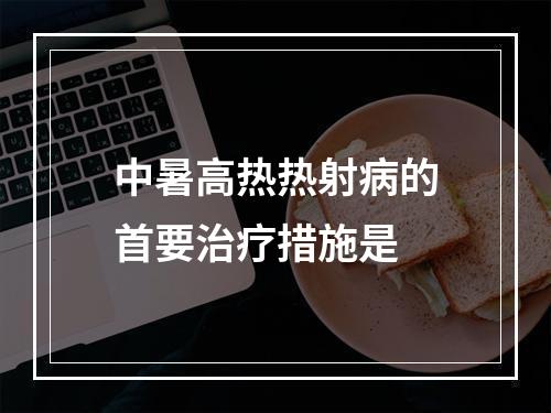 中暑高热热射病的首要治疗措施是