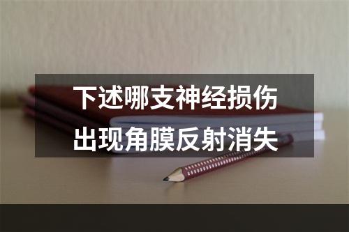 下述哪支神经损伤出现角膜反射消失