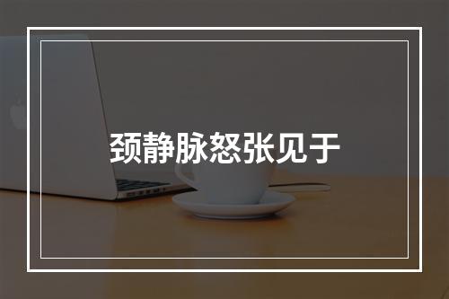 颈静脉怒张见于