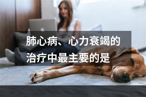 肺心病、心力衰竭的治疗中最主要的是