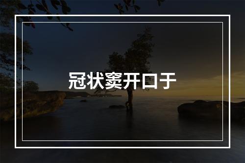 冠状窦开口于