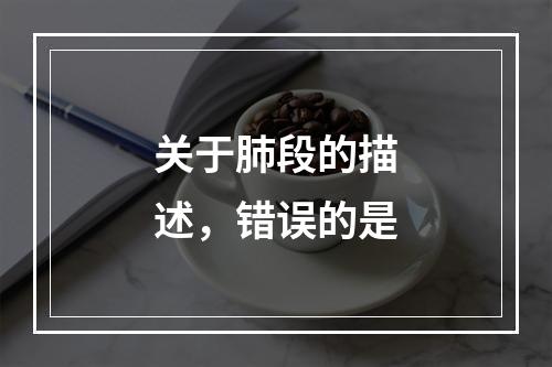 关于肺段的描述，错误的是