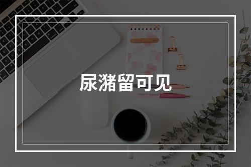 尿潴留可见