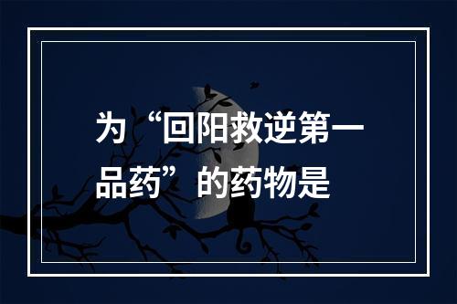 为“回阳救逆第一品药”的药物是