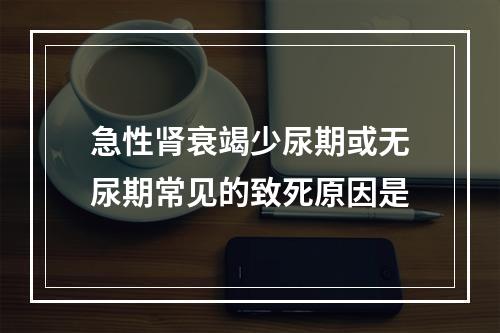 急性肾衰竭少尿期或无尿期常见的致死原因是