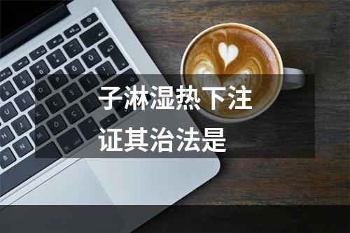 子淋湿热下注证其治法是