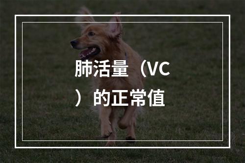 肺活量（VC）的正常值