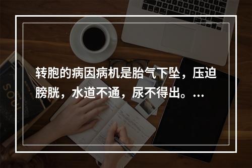 转胞的病因病机是胎气下坠，压迫膀胱，水道不通，尿不得出。临床