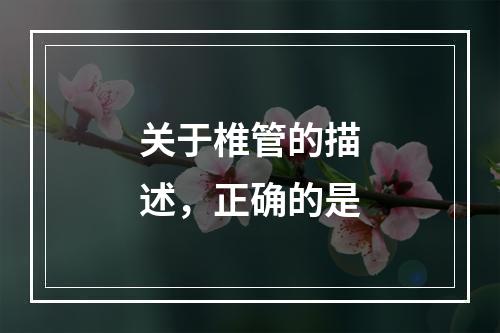 关于椎管的描述，正确的是