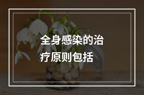 全身感染的治疗原则包括