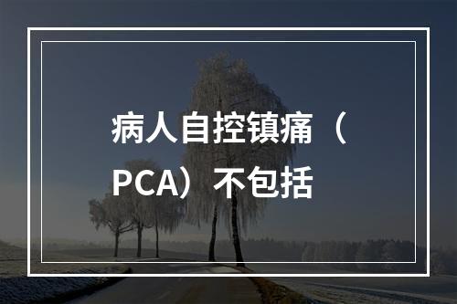 病人自控镇痛（PCA）不包括