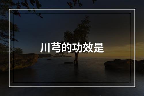 川芎的功效是