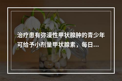 治疗患有弥漫性甲状腺肿的青少年可给予小剂量甲状腺素，每日应服