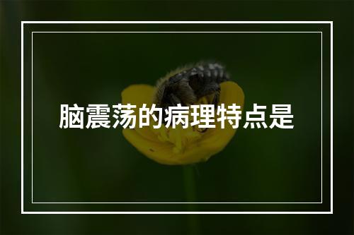 脑震荡的病理特点是