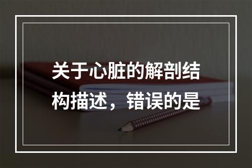 关于心脏的解剖结构描述，错误的是