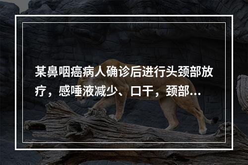 某鼻咽癌病人确诊后进行头颈部放疗，感唾液减少、口干，颈部皮肤