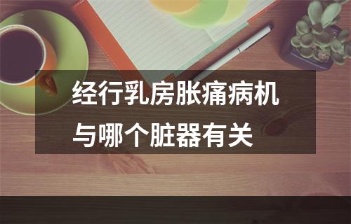 经行乳房胀痛病机与哪个脏器有关