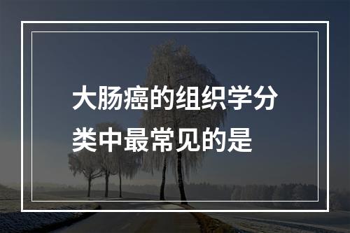 大肠癌的组织学分类中最常见的是