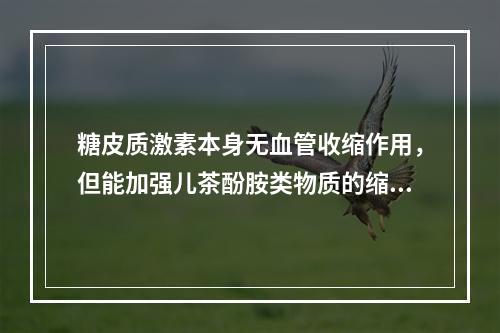 糖皮质激素本身无血管收缩作用，但能加强儿茶酚胺类物质的缩血管