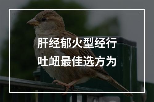 肝经郁火型经行吐衄最佳选方为