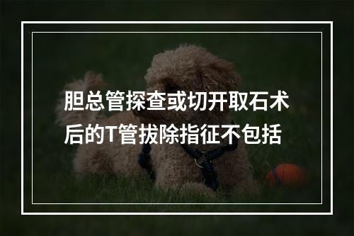 胆总管探查或切开取石术后的T管拔除指征不包括