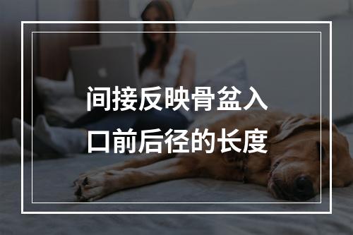 间接反映骨盆入口前后径的长度