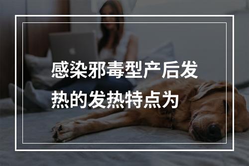 感染邪毒型产后发热的发热特点为