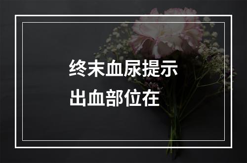 终末血尿提示出血部位在