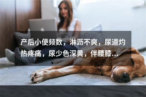 产后小便频数，淋沥不爽，尿道灼热疼痛，尿少色深黄，伴腰膝酸软