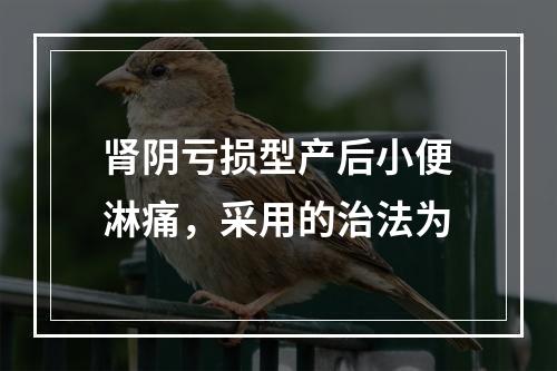 肾阴亏损型产后小便淋痛，采用的治法为