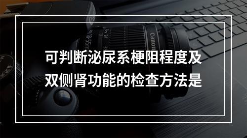 可判断泌尿系梗阻程度及双侧肾功能的检查方法是