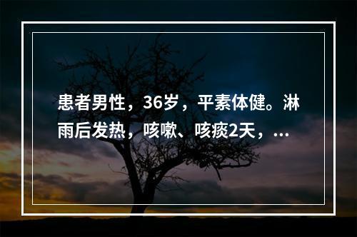 患者男性，36岁，平素体健。淋雨后发热，咳嗽、咳痰2天，右上