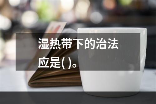 湿热带下的治法应是( )。