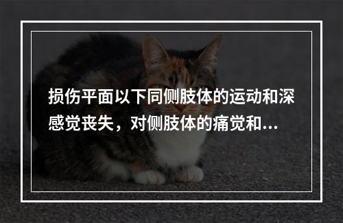 损伤平面以下同侧肢体的运动和深感觉丧失，对侧肢体的痛觉和温度